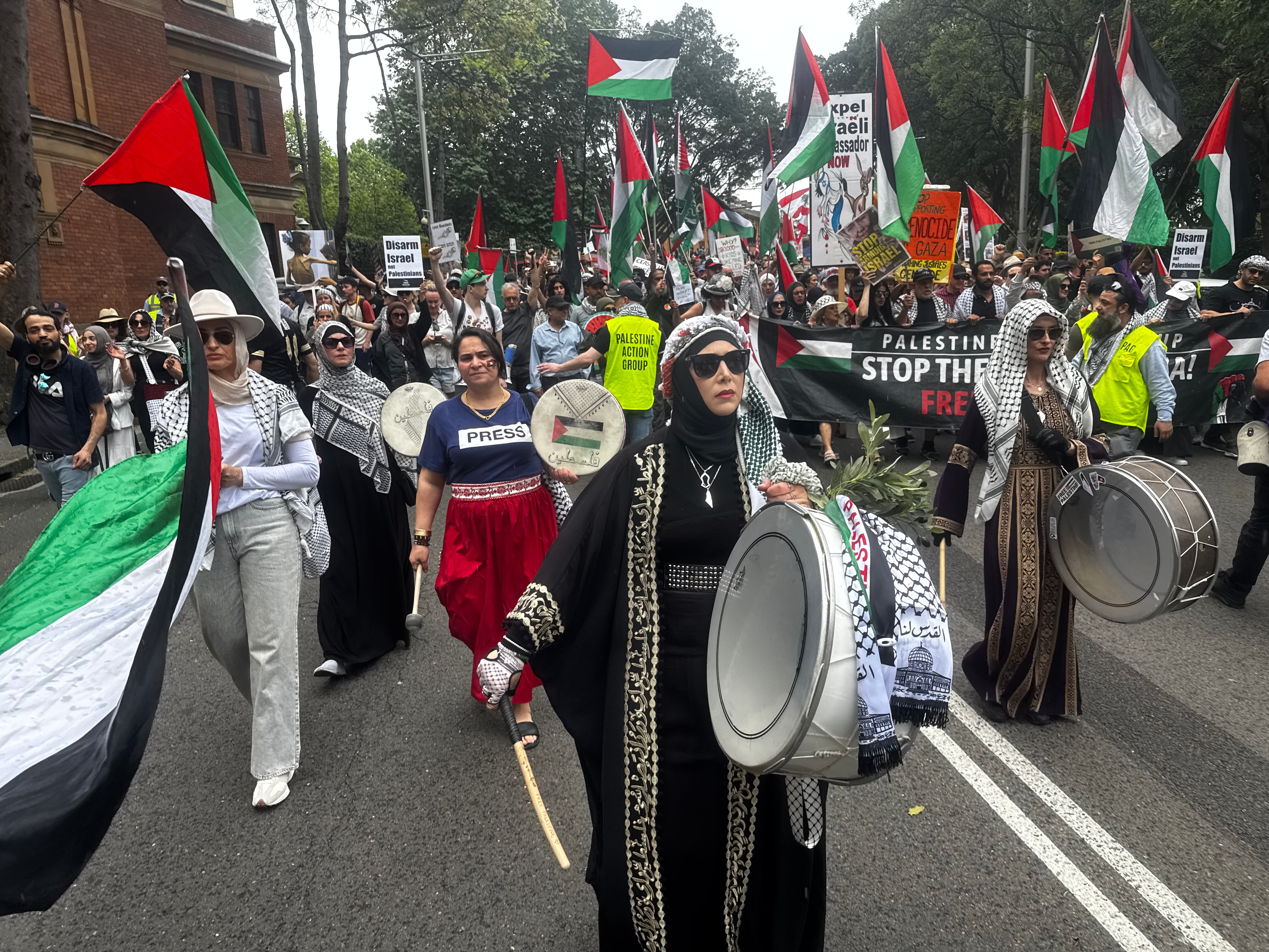 Pro-Palestinian protesters gather in Sydney's Hyde Park with flags and signs