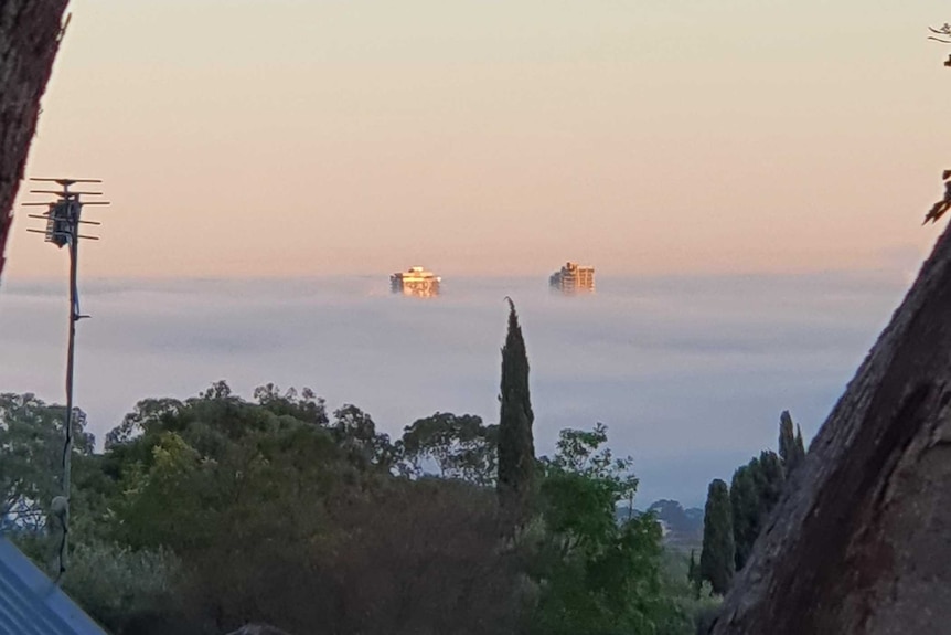 Tall buildings poking out from fog clouds