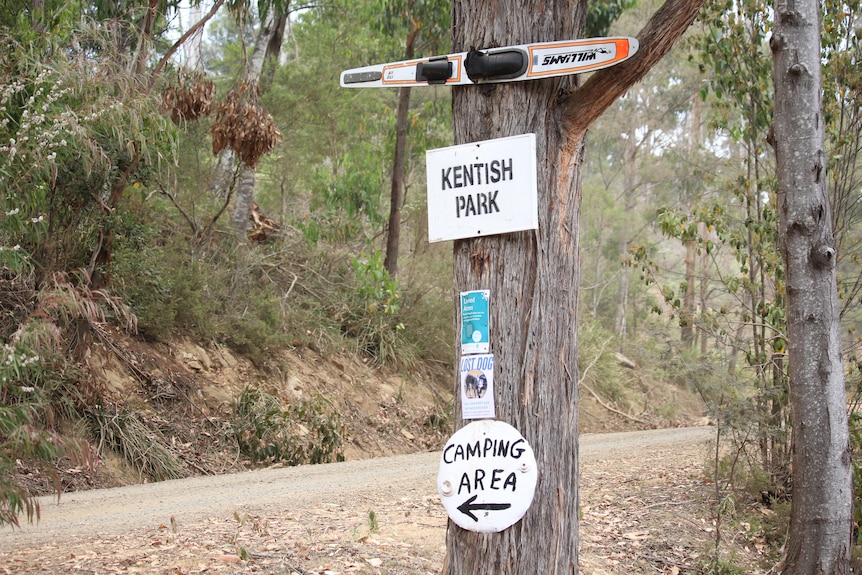 Signage on trees at a bush campground.