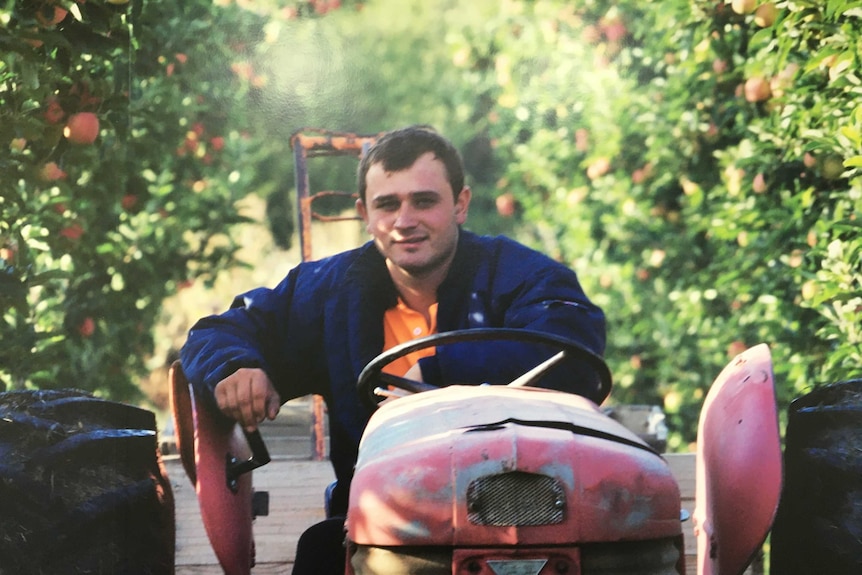 A man sits in a tractor in an orchard.