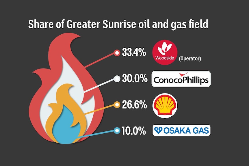 A chart illustrating the ownership of Greater Sunrise