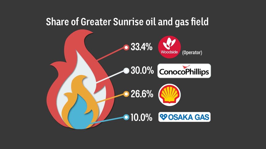 A chart illustrating the ownership of Greater Sunrise