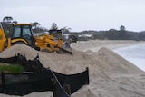 Jimmys Beach erosion work