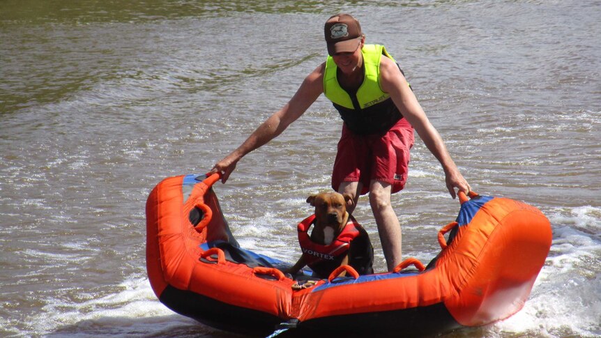Nugget the dog goes tubing on the Finke River at Henbury Station