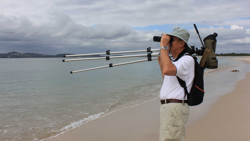 Bird watcher Neil Fraser standing on a beach holding binoculars up to his eyes to watch for little terns.