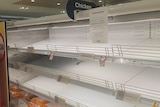 Empty supermarket shelves in the chicken section.