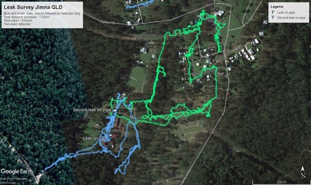 GPS readout from a tracking day where water leaks were detected in pipelines by the specially trained sniffer dogs