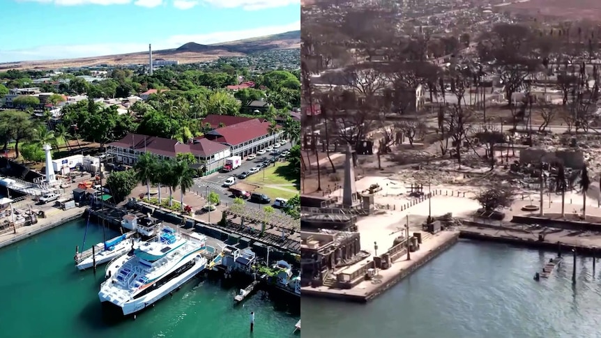 Side by side images of a resort town. Left it is green and has boats in the water, on the right brown and burned down, no boats.