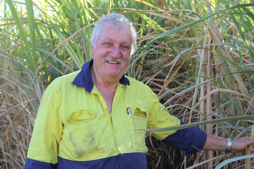 Photo of farmer Mark Savina in his work clothes smiling at the camera in front of his cane crop