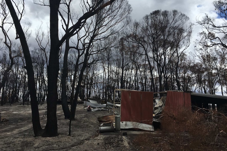 Burnt trees and a burnt out shed at Scotsburn Victoria.