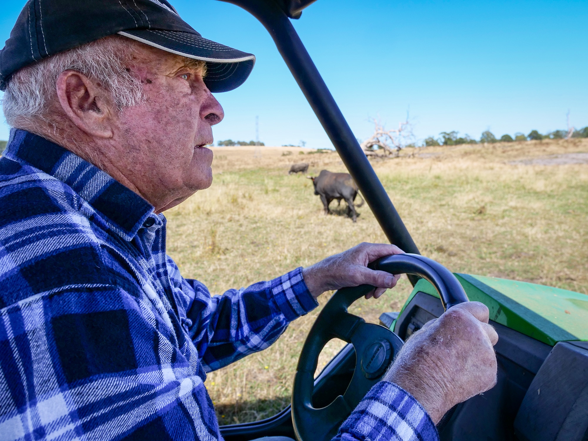 A man in a blue shirt drives a four-wheeler. 