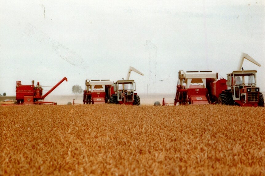 A vintage photo of three red harvesters in a field.