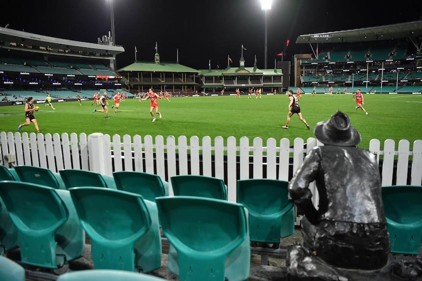 A photo taken from behind the statue of Yabba at the SCG during an AFL game between Gold Coast Suns and Hawthorn Hawks.