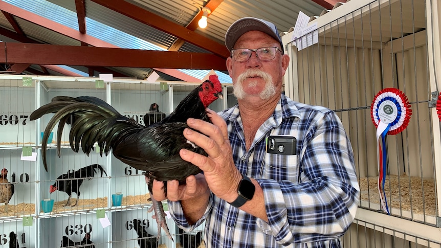 A man in a blue and white check shirt holds up a black bird.