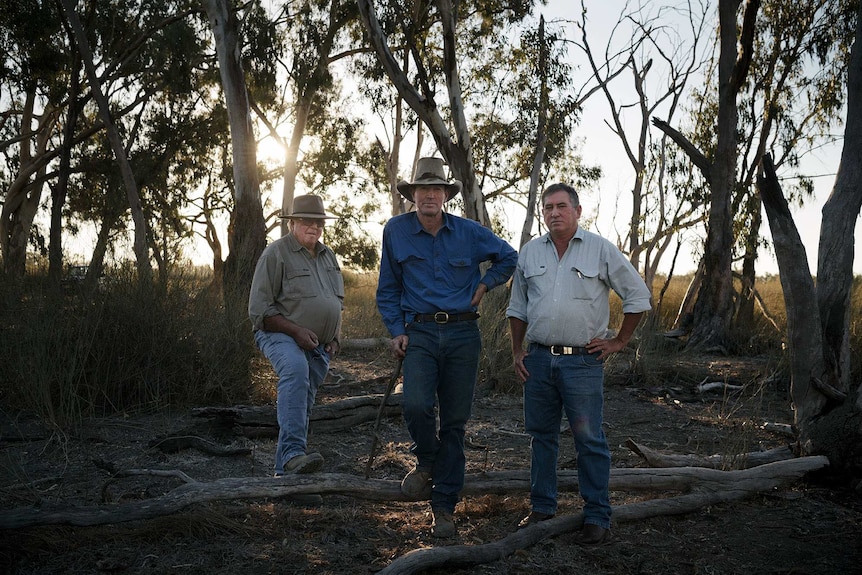 Three men stand in a bush setting facing the camera.