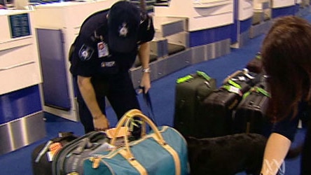 An international expert is to examine security at Australian airports.