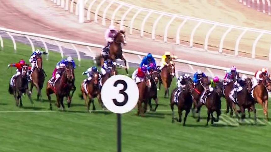 A still shows the field of the Melbourne Cup racing, while one horse at the back rears slightly on its hind legs.