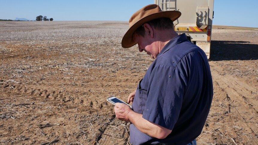 Farmer checking the  his phone