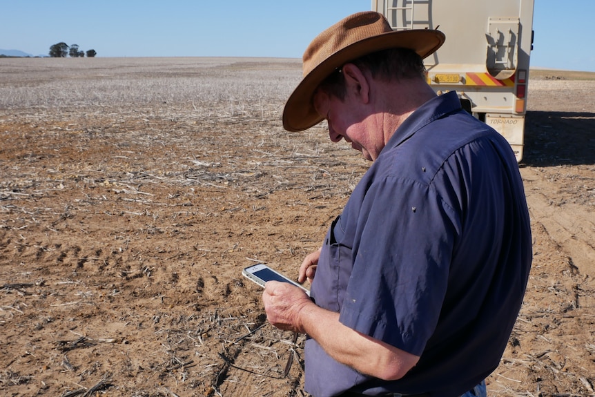 Farmer checking the  his phone