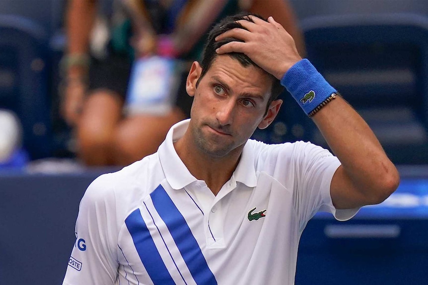 Novak Djokovic holding his head in disbelief.