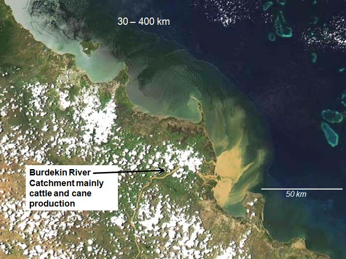 Rivers of red threaten the future of the reef - ABC listen