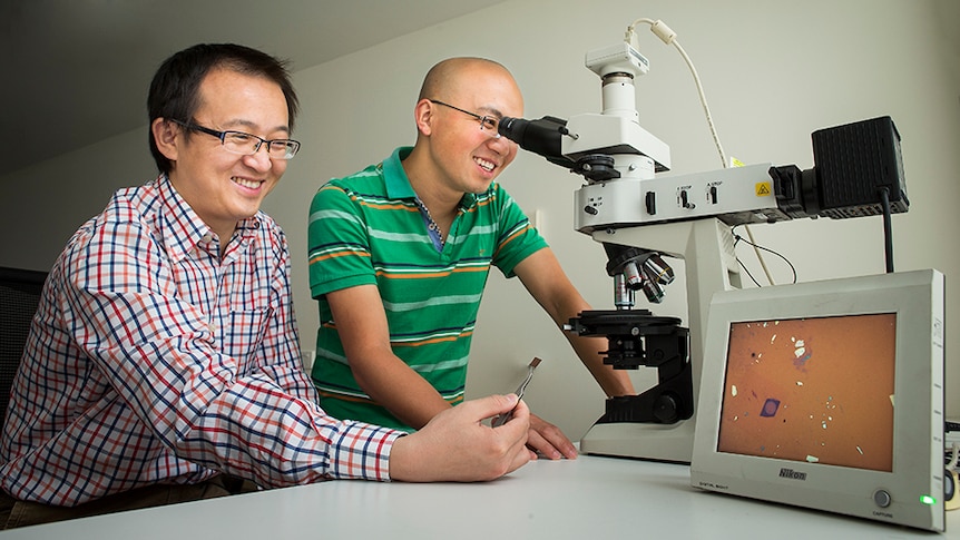Yuerui Lu and Jiong Yang work at a microscope.