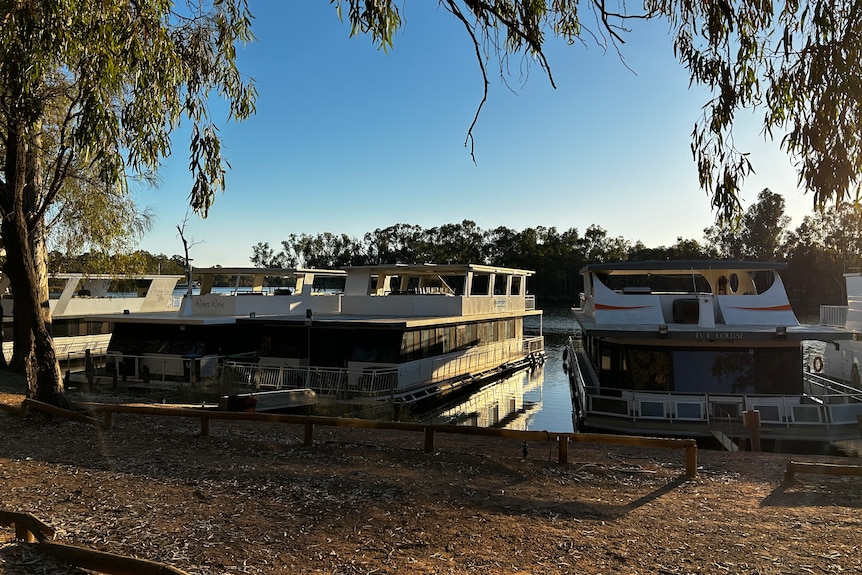 A row of houseboats along an inlet off the Murray River in Victoria.