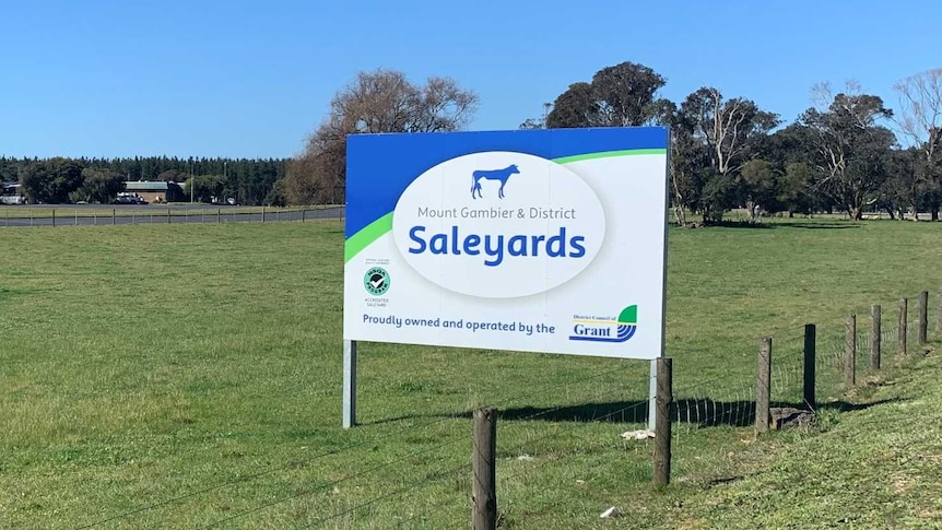 A grassy paddock with a sign reading "Mount Gambier & District Saleyards"
