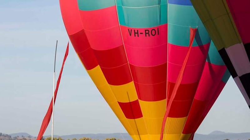 A giant  hot air balloon lands in a paddock near Canowindra in central west NSW