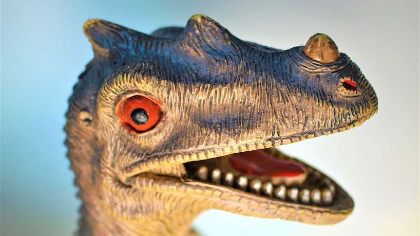Close up of a toy dino