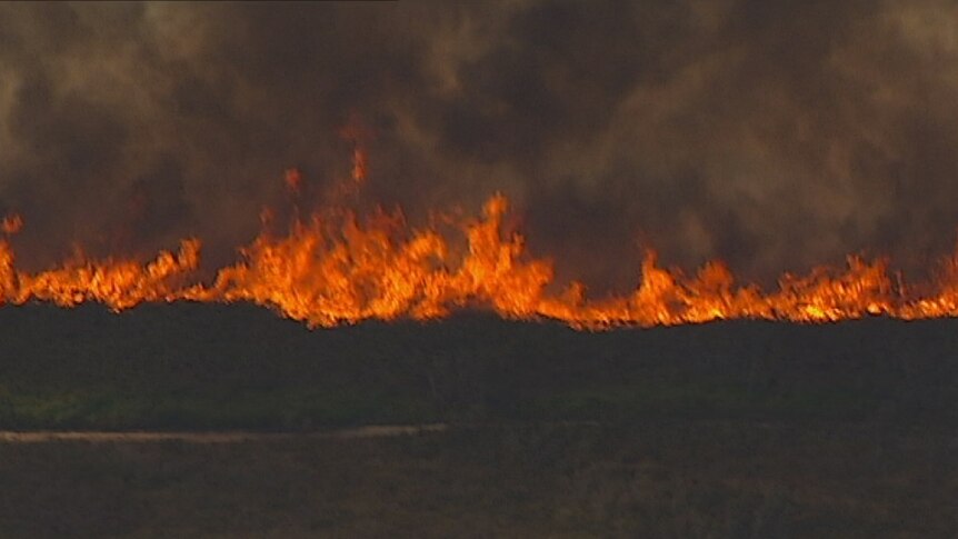 Bushfire near Portland