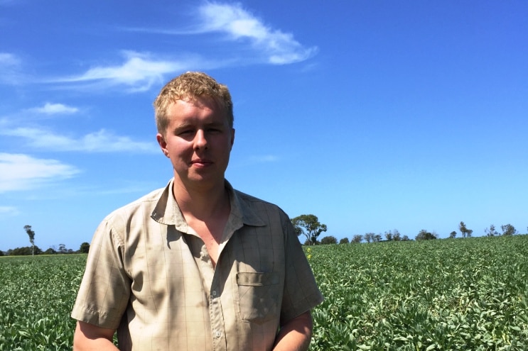 Bengworden farmer Toby Caithness in a paddock of beans at his East Gippsland property.