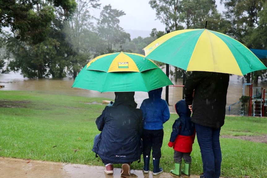 People holding umbrellas