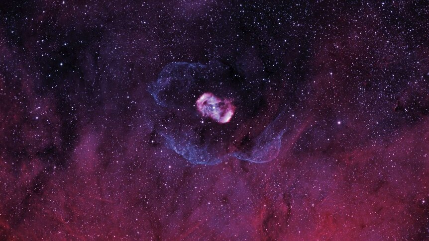 Pink blob in a starry purple sky
