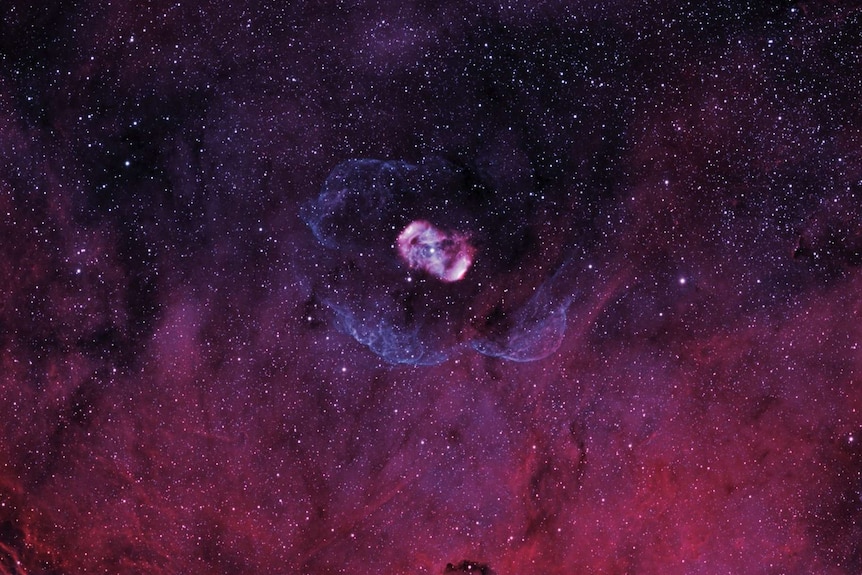 Pink blob in a starry purple sky