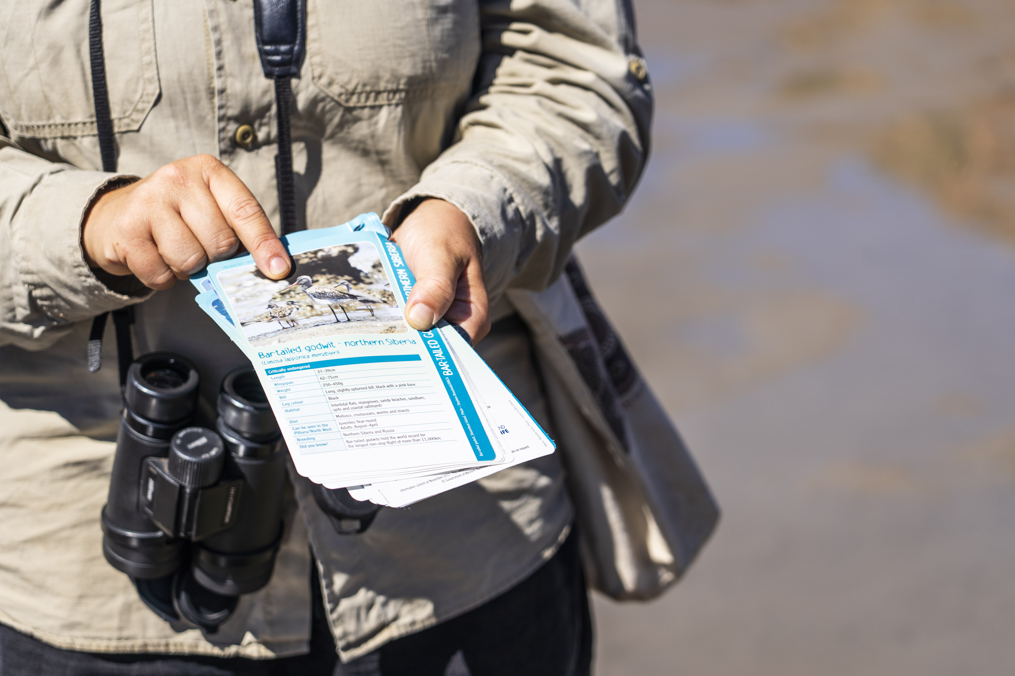 Uma pessoa mostra um folheto com pássaros e aponta o dedo.