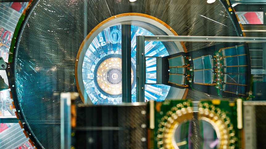 Details of the detector sections of the Hadron Collider.