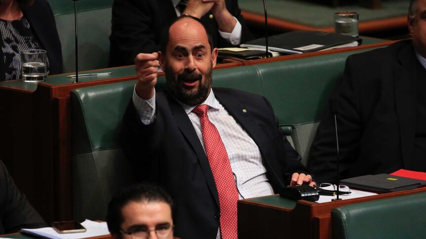 Ross Hart holds his right hand at eye level as a fist, seemingly mocking the opposition during question time.