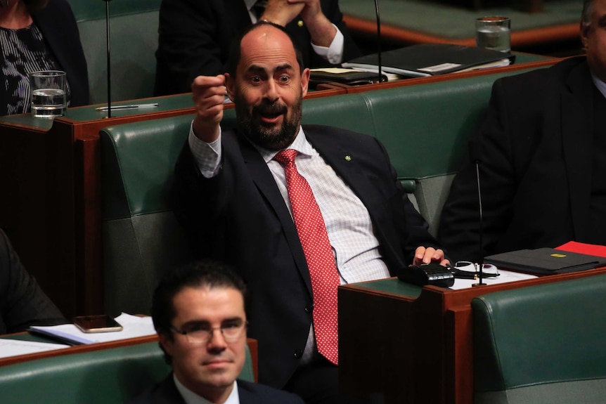 Ross Hart holds his right hand at eye level as a fist, seemingly mocking the opposition during question time.