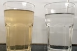 Two glasses sit side by side, one with brown water in it and the other with clear water.