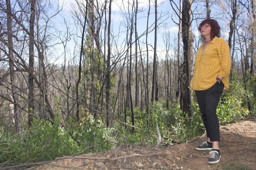 A woman in a yellow shirt stands in front of burnt trees, looking into the distance.