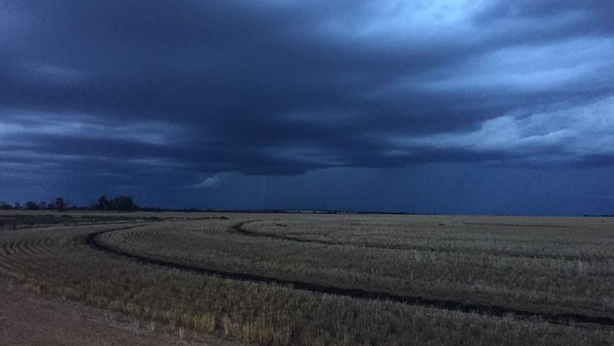 Rain clouds gather over a field in Wyalkatchem on Friday night.