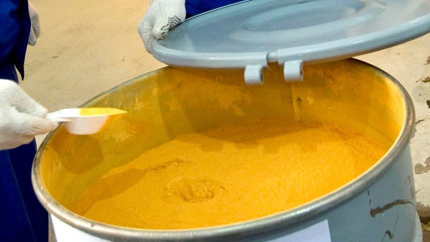 Employees check a barrel filled with yellowcake.
