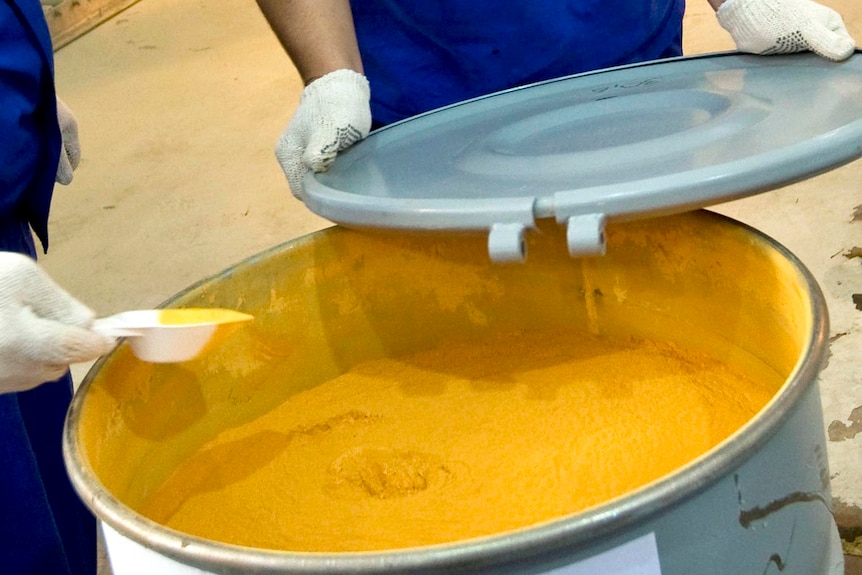 Employees check a barrel filled with yellowcake.