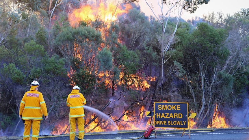 Two firefighters hose a blaze in bushland next to a road.