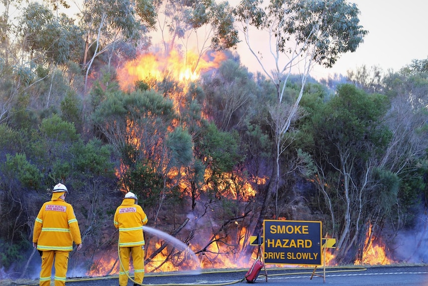 Two firefighters hose a blaze in bushland next to a road.