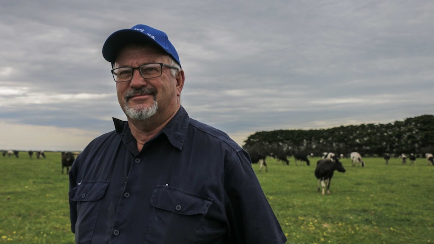 Pomborneit farmer Terry Place in a paddock with his dairy cows.