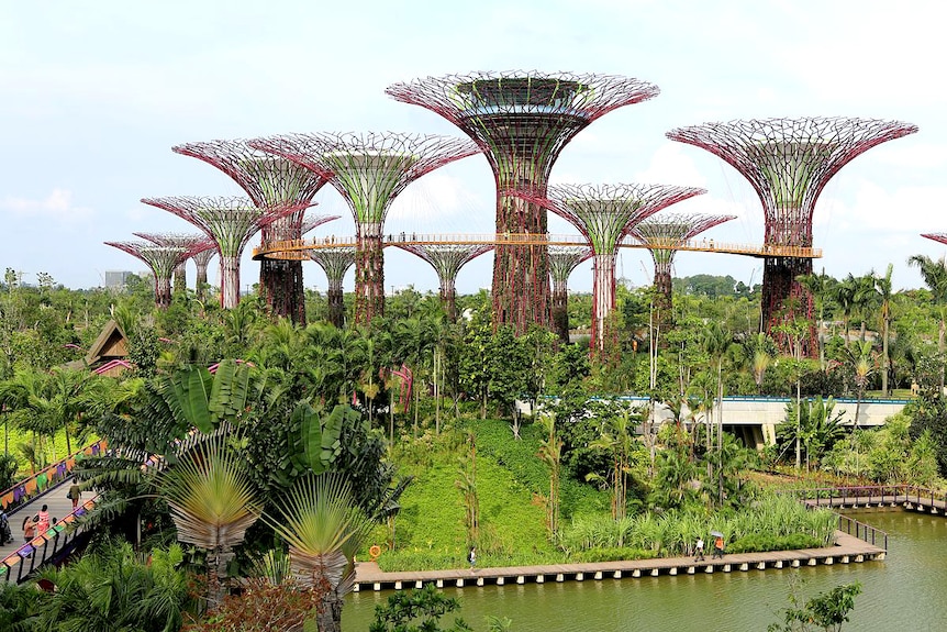 The Supertree Grove at Gardens by the Bay, Singapore.