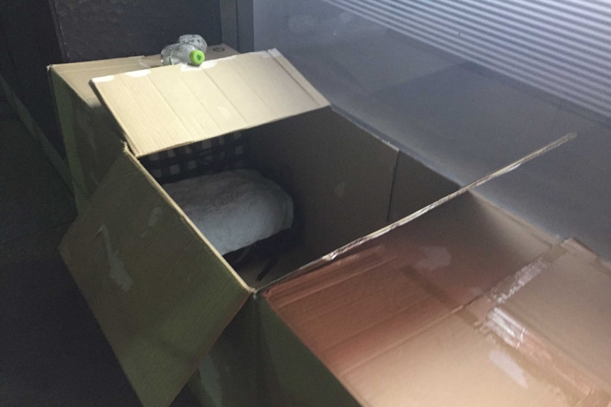 A long cardboard box lies open.
