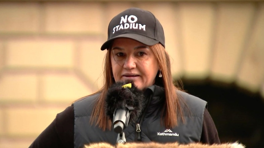 A woman wearing a "no stadium" hat speaks at a microphone